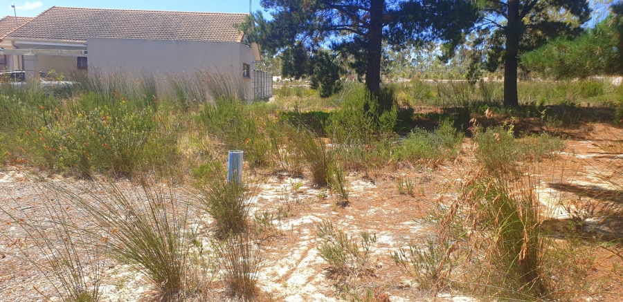  Bedroom Property for Sale in Albertinia Western Cape